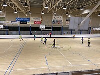 Rolhockey