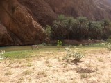 Wadi Bani Khaled