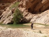 Wadi Bani Khaled