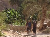 Wadi Bani Khaled