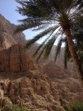 Wadi Bani Khaled
