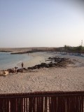 Aan de kust Ras al Hadd