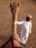 Wahibi sands