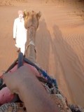 Wahibi sands