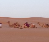 Wahibi sands