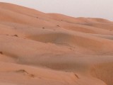 Wahibi sands
