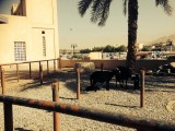 Souk in Nizwa
