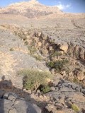 Op weg naar Jebel Shams