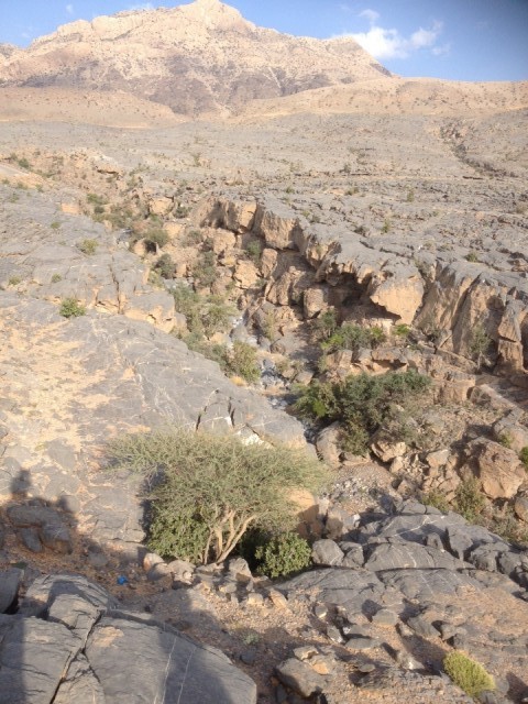 Op weg naar Jebel Shams