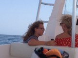 Dolfijnen spotten voor de kust van Muscat