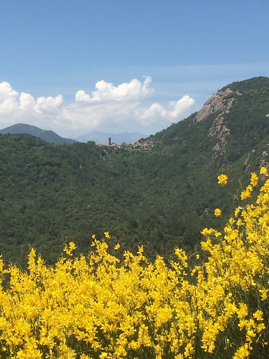 Pyreneeën met in de verte Coustouges (F)