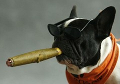 Filou