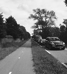 IMG_5386