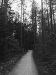 IMG_5396