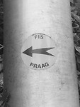 Route sticker