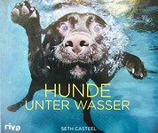Honden, onder water