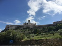 Assisi