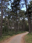Onderweg