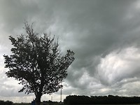 Een lokale bui