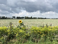 Onderweg naar Exloo