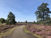 Onderweg naar Emmen