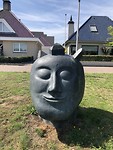 Kijken naar de toekomst