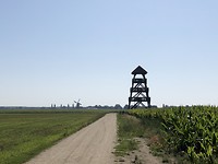 Uitkijktoren