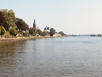 Bij Reuver