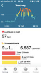 Fitbits Col du Portalet