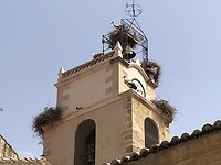 Ooievaarskerk in Riolobos