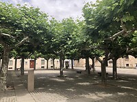 Parkje Zamora