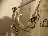 Budgetkamer