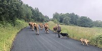 Onderweg