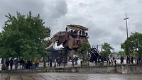 Olifant