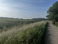 Fietspad bij Asperen