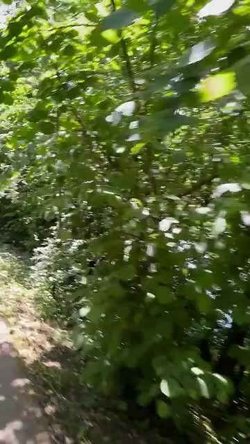 Inhalen maar