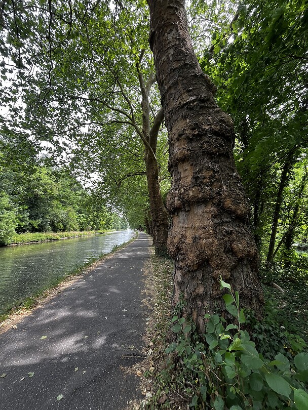 Canal des Voges