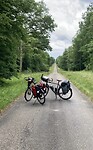 Onderweg in het bos