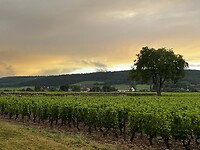 Bourgogne