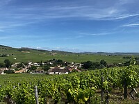 Fuisse