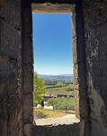 Avignon