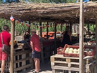 Luberon