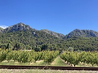 Luberon