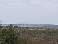 20190219_121414