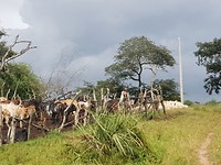 20190926_091331