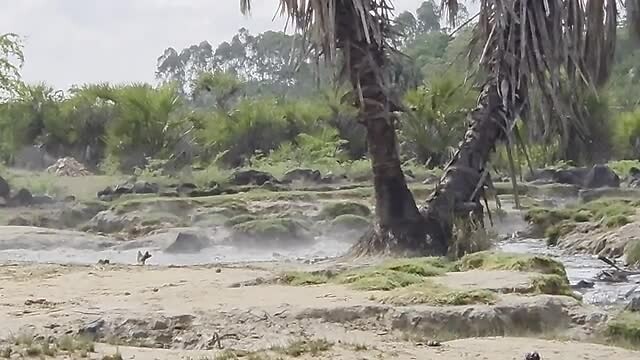 Heetwaterbron bij Majimoto primary