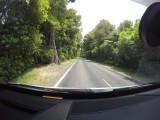 (1) road and bush view week 1