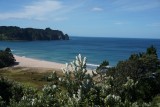 (1) Beach view Hot Water Beach