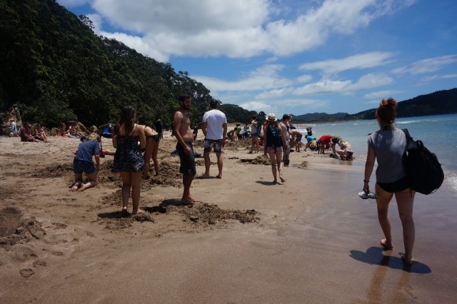 (1) Gravende mensen Hot Water Beach