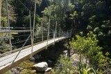 (2) Swinging bridge, A. Tasman Park